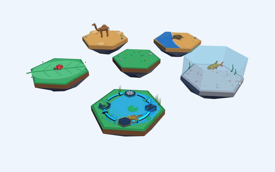 نموذج ثلاثيّ الأبعاد بأسلوب Low Poly — دورات حياة الحيوانات