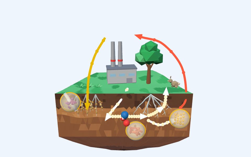 نموذج ثلاثيّ الأبعاد بأسلوب Low Poly — دورة النيتروجين: البكتيريا والتربة