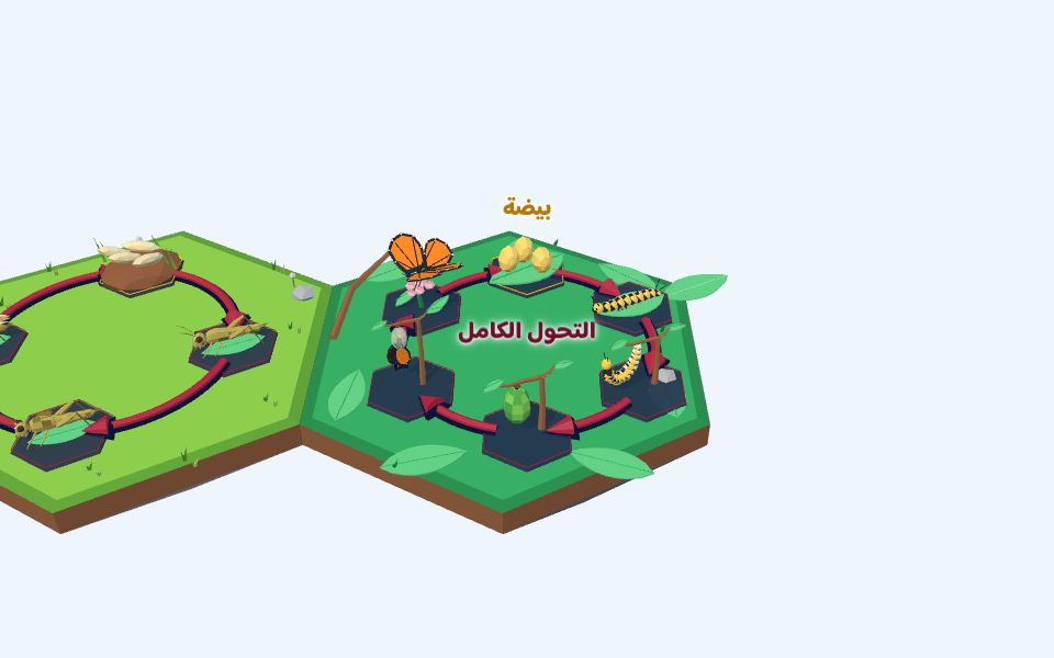 نموذج ثلاثيّ الأبعاد بأسلوب Low Poly — التحول الكامل: دورة الفراشة