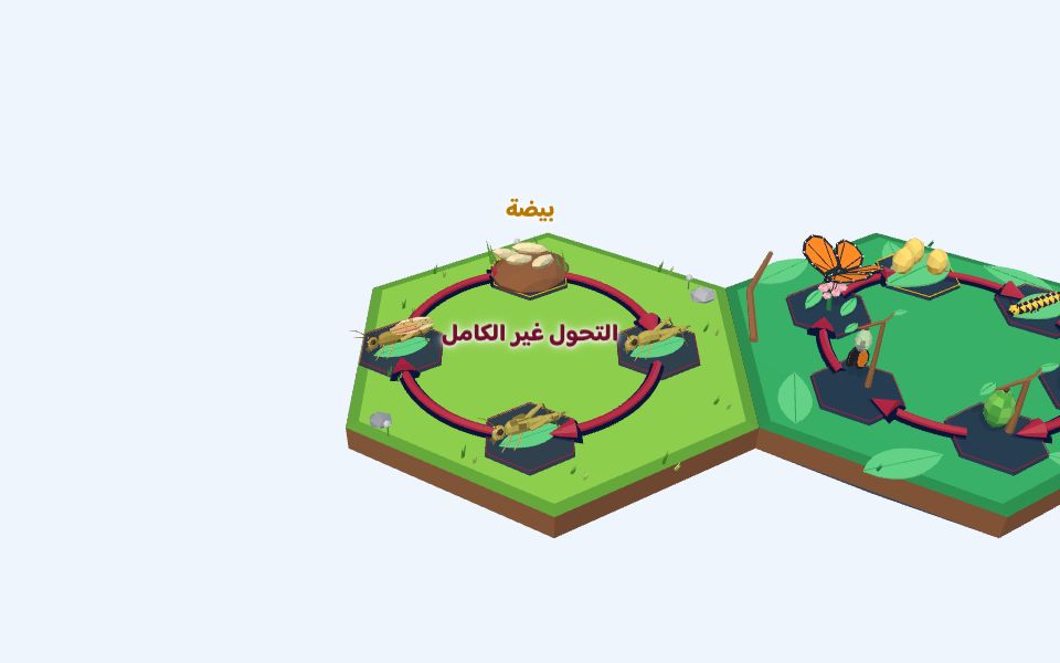 نموذج ثلاثيّ الأبعاد بأسلوب Low Poly — التحول غير الكامل: دورة الجرادة
