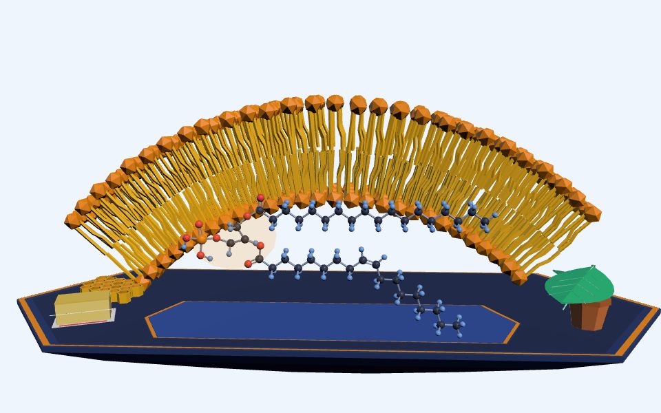 نموذج ثلاثيّ الأبعاد بأسلوب Low Poly — الدهون: المشبعة وغير المشبعة والدهون المفسفرة