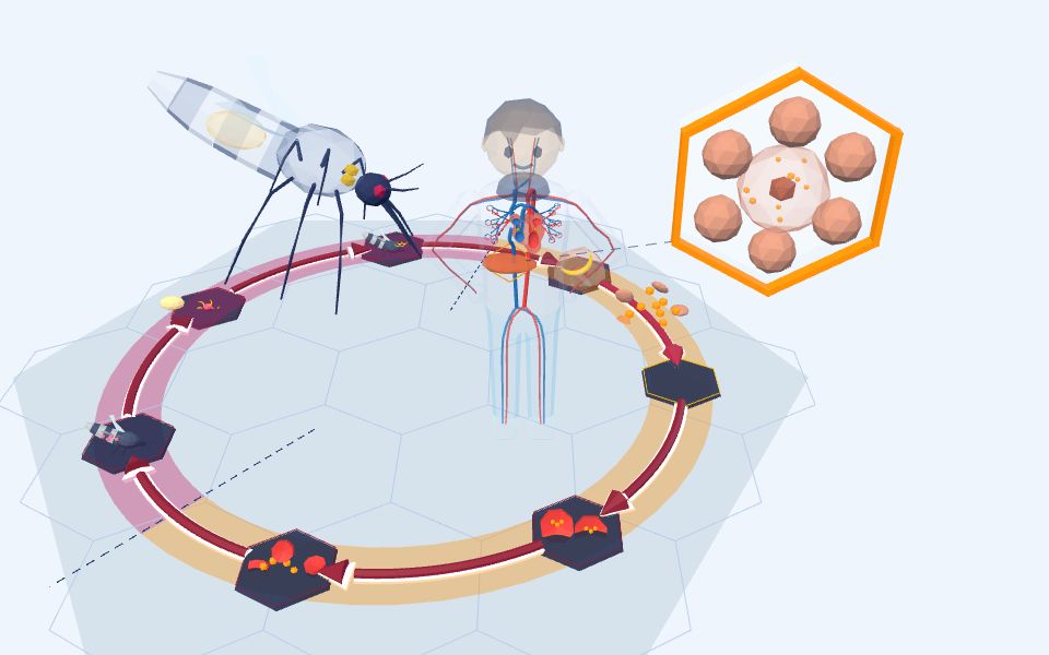 نموذج ثلاثيّ الأبعاد بأسلوب Low Poly — الملاريا: طفيل بين عائلين