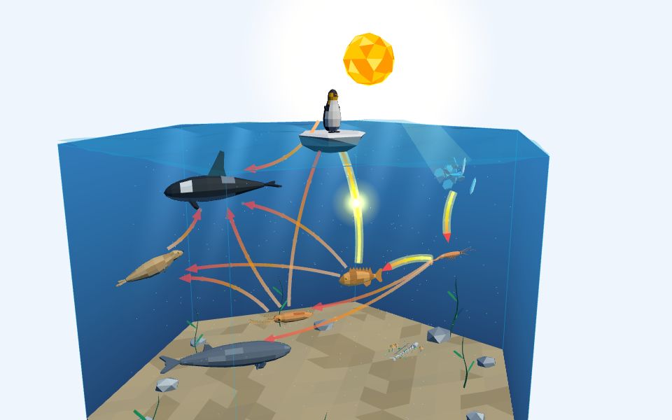 نموذج ثلاثيّ الأبعاد بأسلوب Low Poly — انتقال الطاقة: الشبكة الغذائية