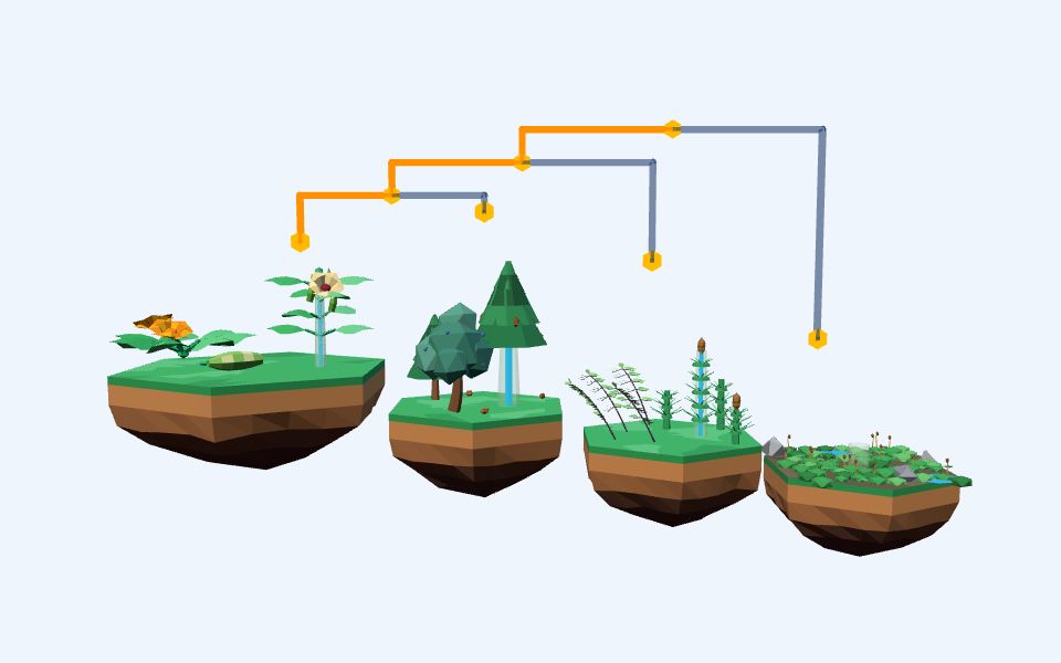 نموذج ثلاثيّ الأبعاد بأسلوب Low Poly — المملكة النباتية: وعائية ولا وعائية