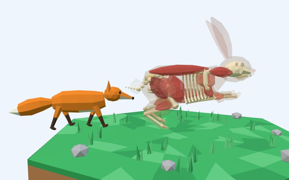 نموذج ثلاثيّ الأبعاد بأسلوب Low Poly — الأرنب يركض: الهيكل والعضلات والأعصاب