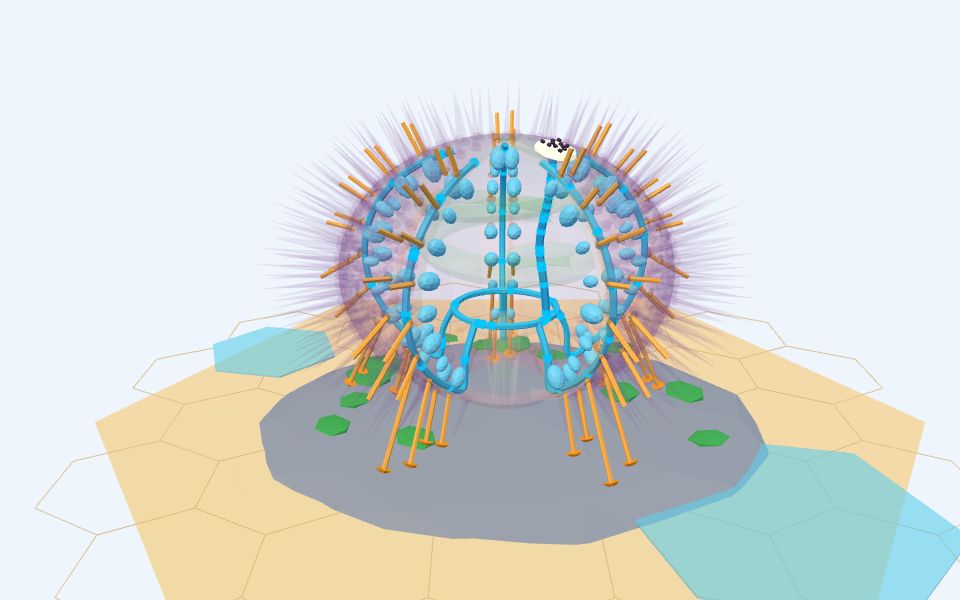 نموذج ثلاثيّ الأبعاد بأسلوب Low Poly — قنفذ البحر: الجهاز الوعائي المائي ومصباح أرسطو