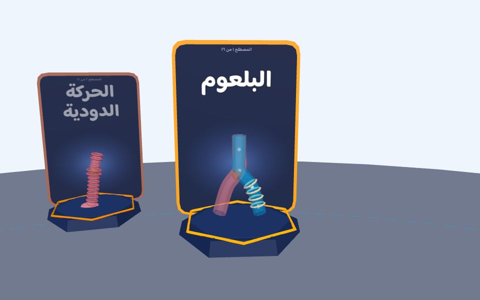 نموذج ثلاثيّ الأبعاد بأسلوب Low Poly — مصطلحات: الهضم والتنفس والإخراج