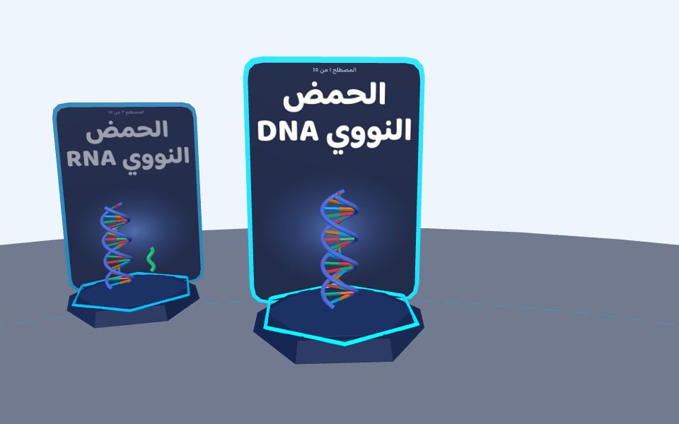 درس الوراثة و DNA ثلاثيّ الأبعاد — مصطلحات: الوراثة و DNA