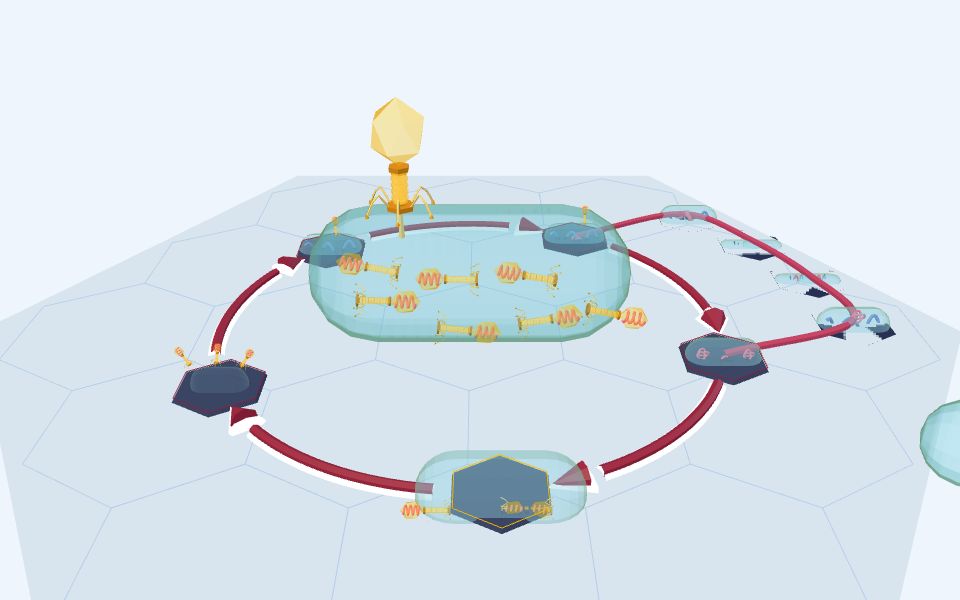 نموذج ثلاثيّ الأبعاد بأسلوب Low Poly — دورة تكاثر الفيروس: التحلّل والاندماج