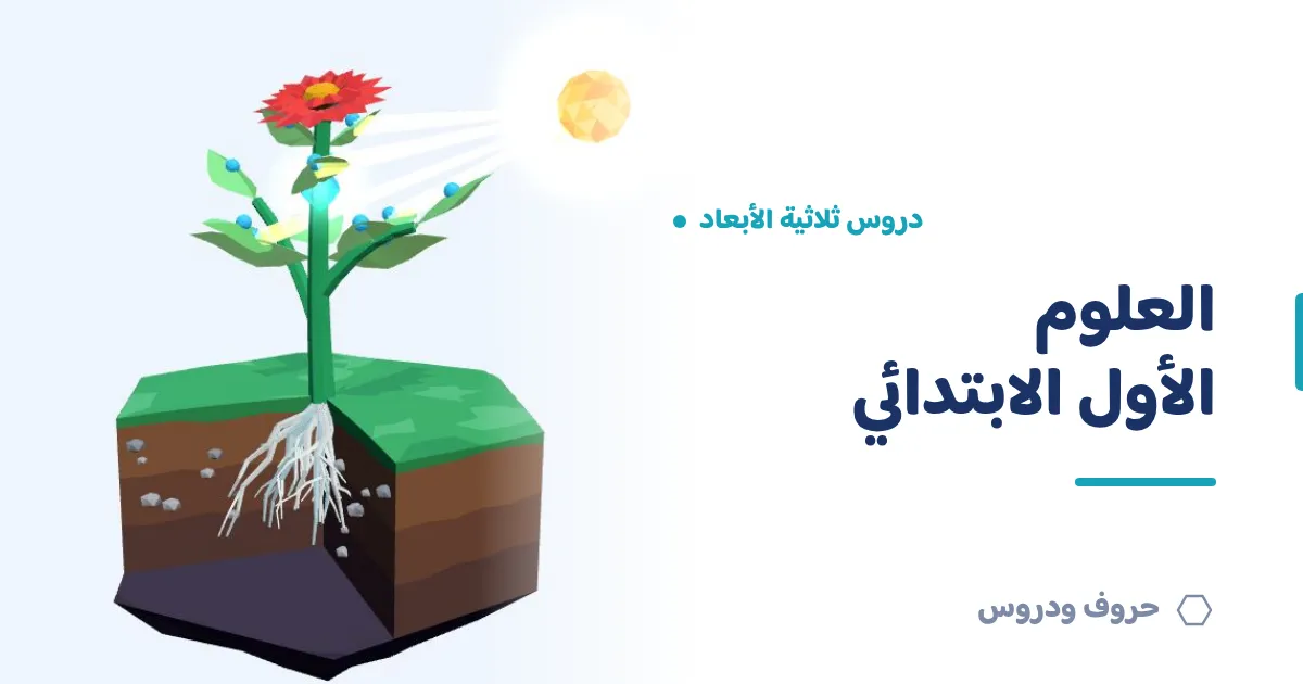 دروس العلوم ثلاثية الأبعاد للصف الأول الابتدائي — حروف و دروس